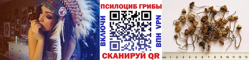 Псилоцибиновые грибы Psilocybe  MEGA ССЫЛКА  Задонск  купить  цена 